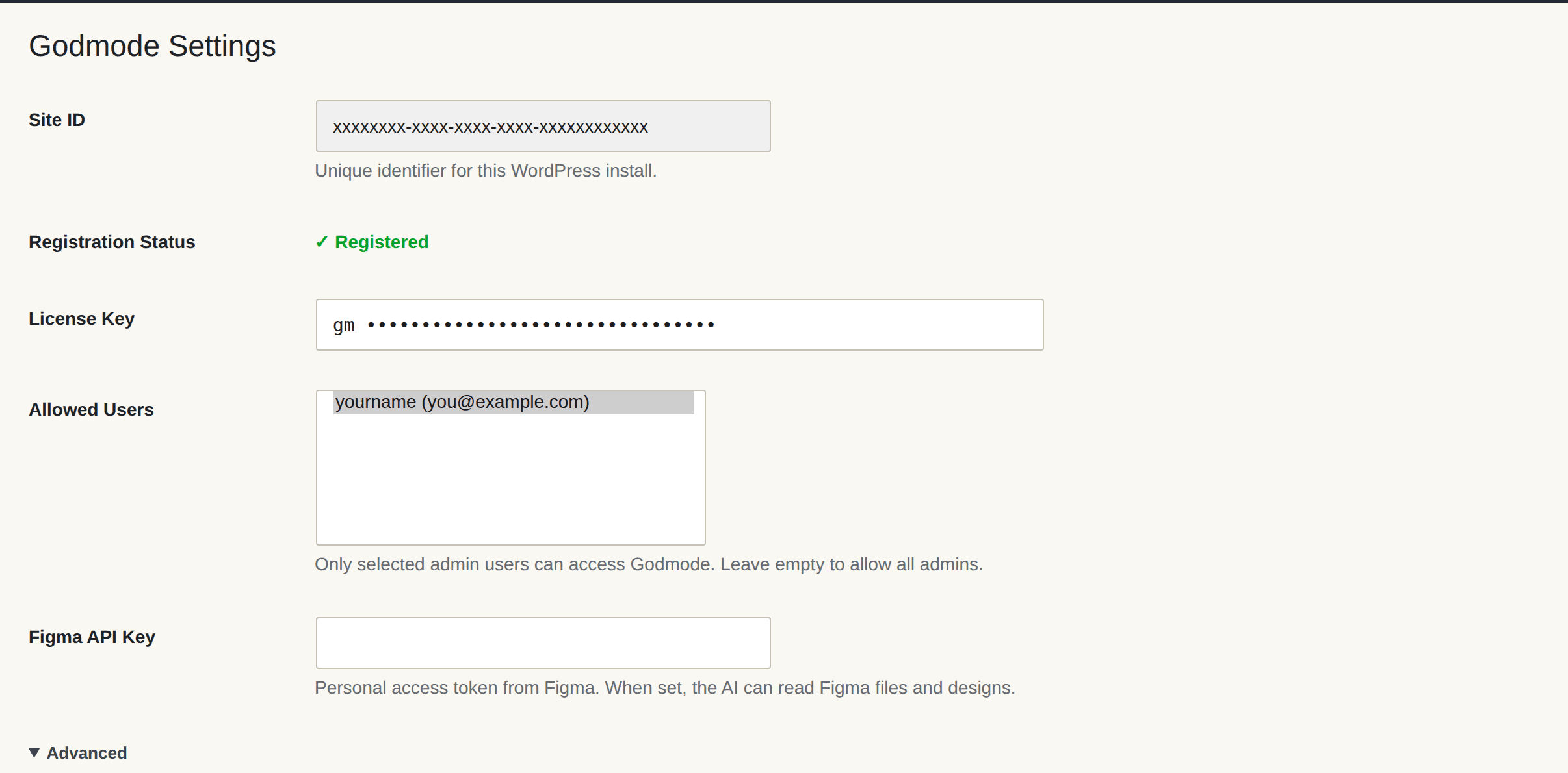 The WP Godmode Settings screen with site registration, license, allowed users and Figma API key